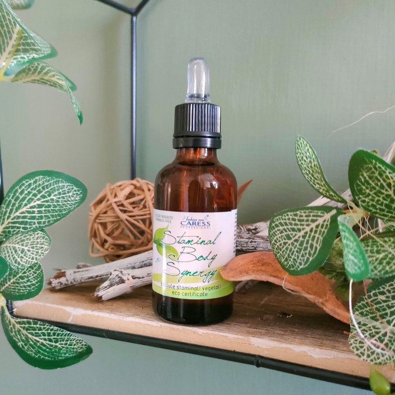 Staminal body synergy
